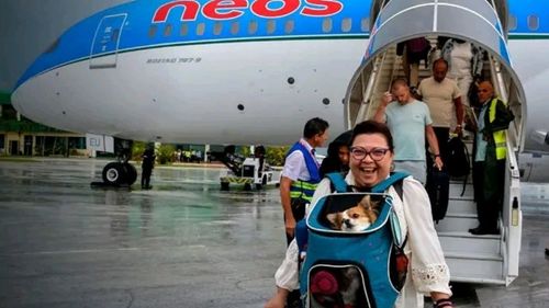 NEOS conecta CUBA